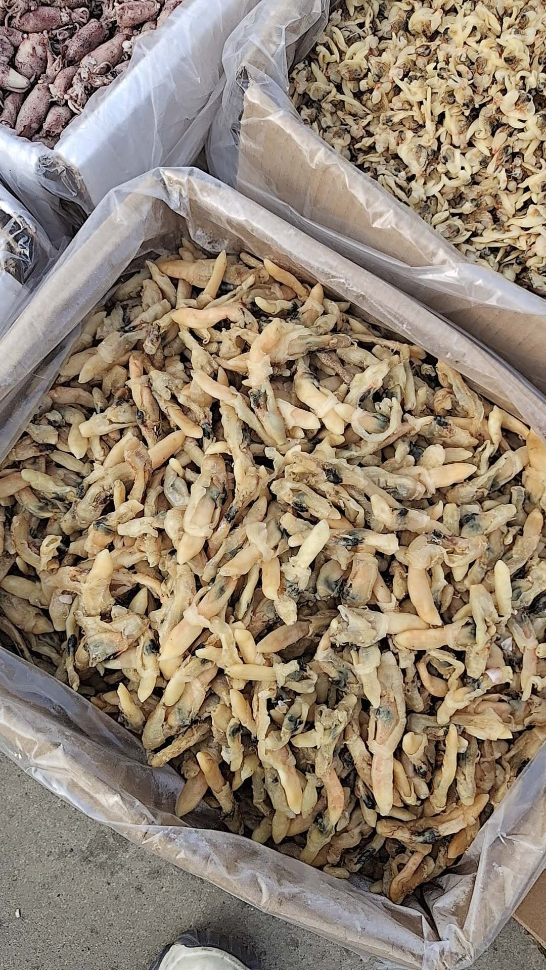蛏干 蛏子肉干干度好，无杂志，大量现货批发！一件也是批发