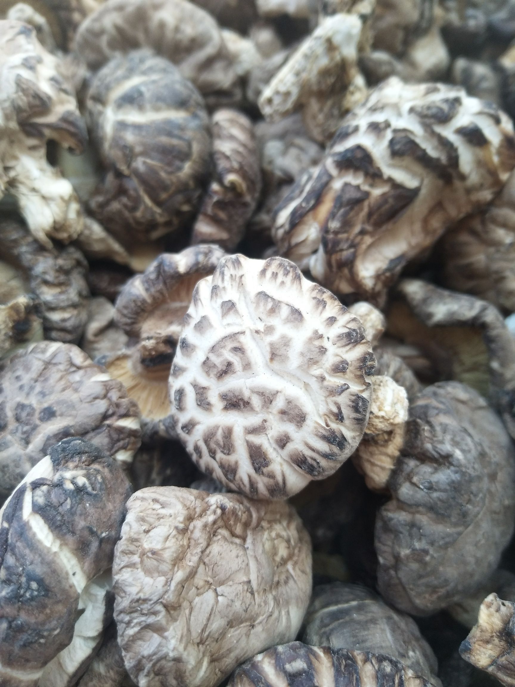 花菇  【连山树头菇】靓货！靓货，（蒸鸡），（煲汤），全屋都