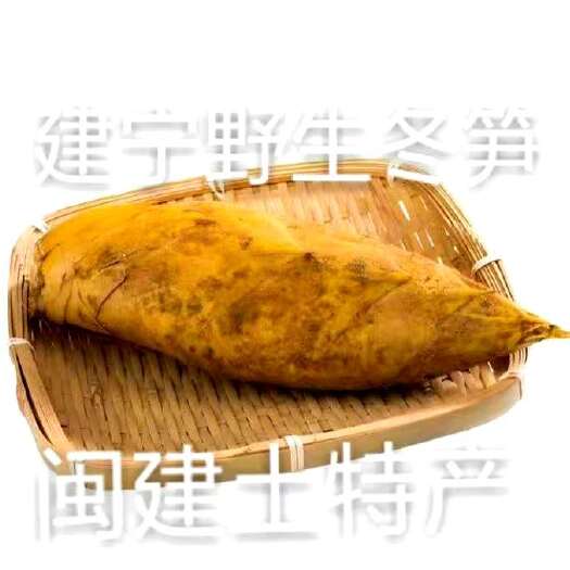建宁县 天然无污染冬笋