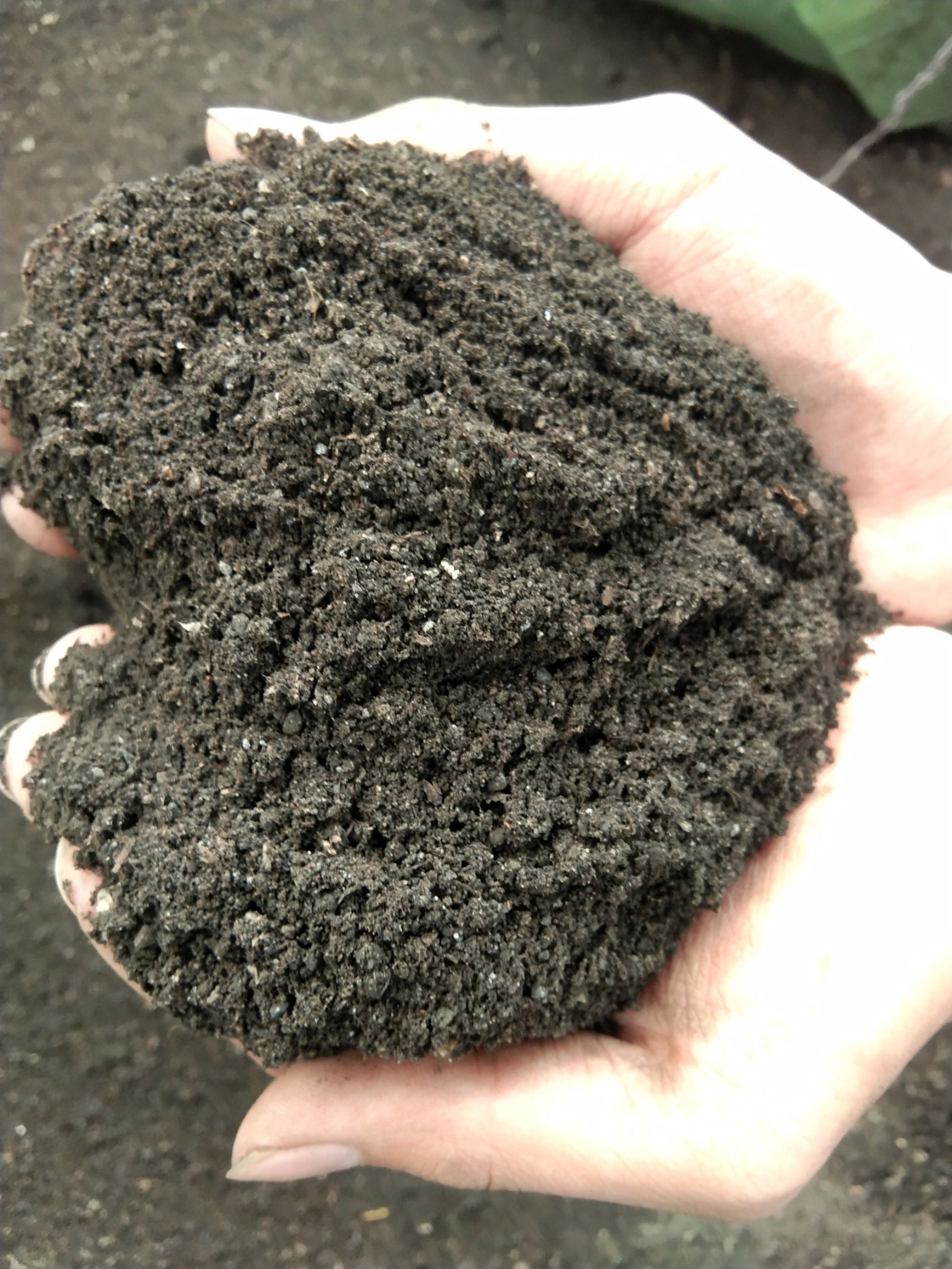 鸡粪发酵鸡粪 发酵鸡粪 鸡粪  鸡粪  鸡粪