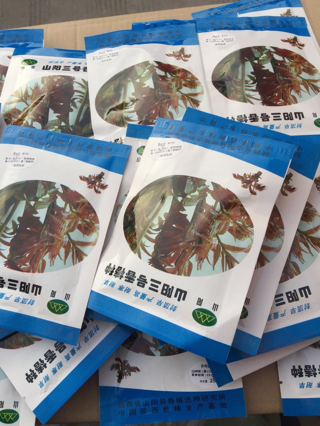 红香椿种子，红油香椿种子，红香椿种子，产地直销，自产自销