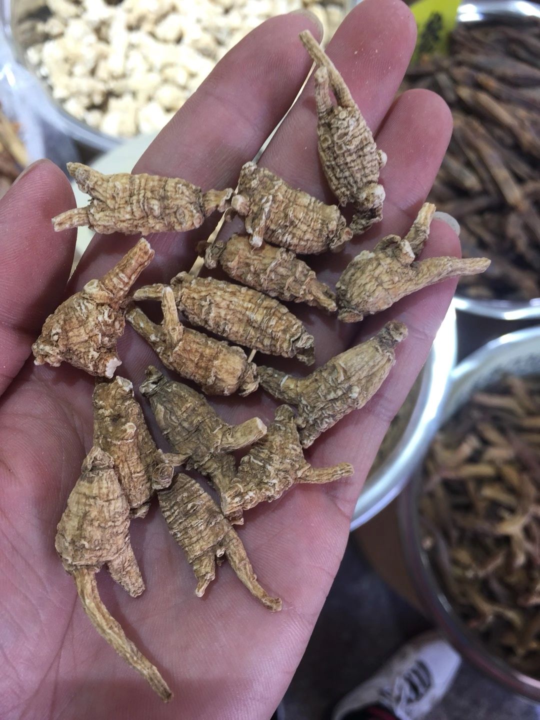 西洋参  美国花旗参  高品质 全国包邮