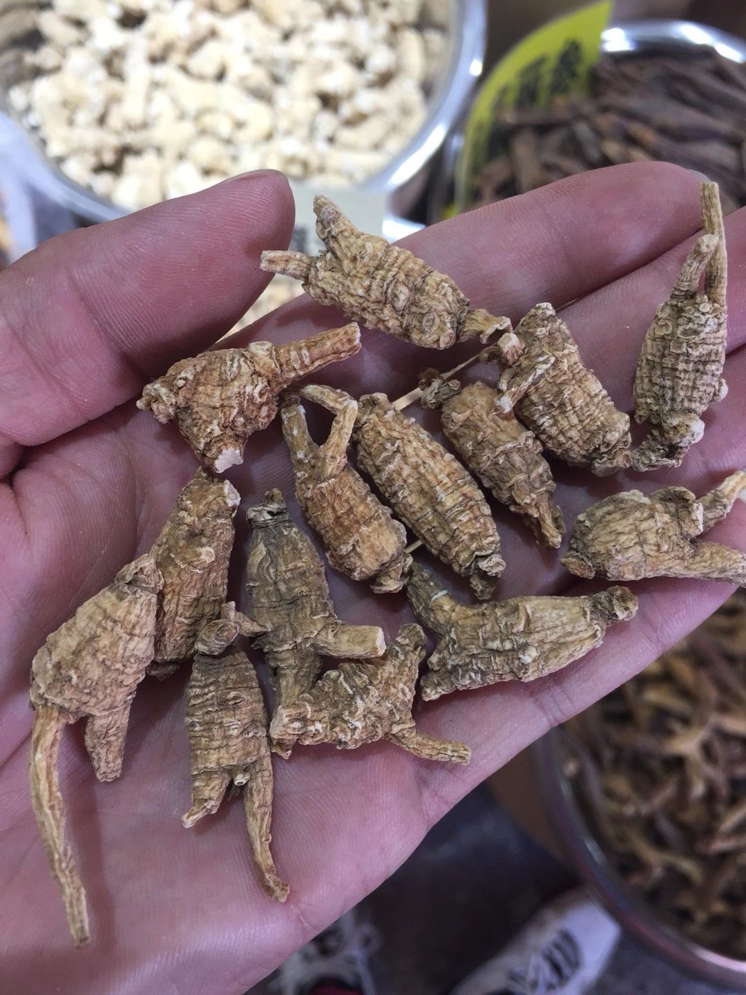 西洋参  美国花旗参  高品质 全国包邮