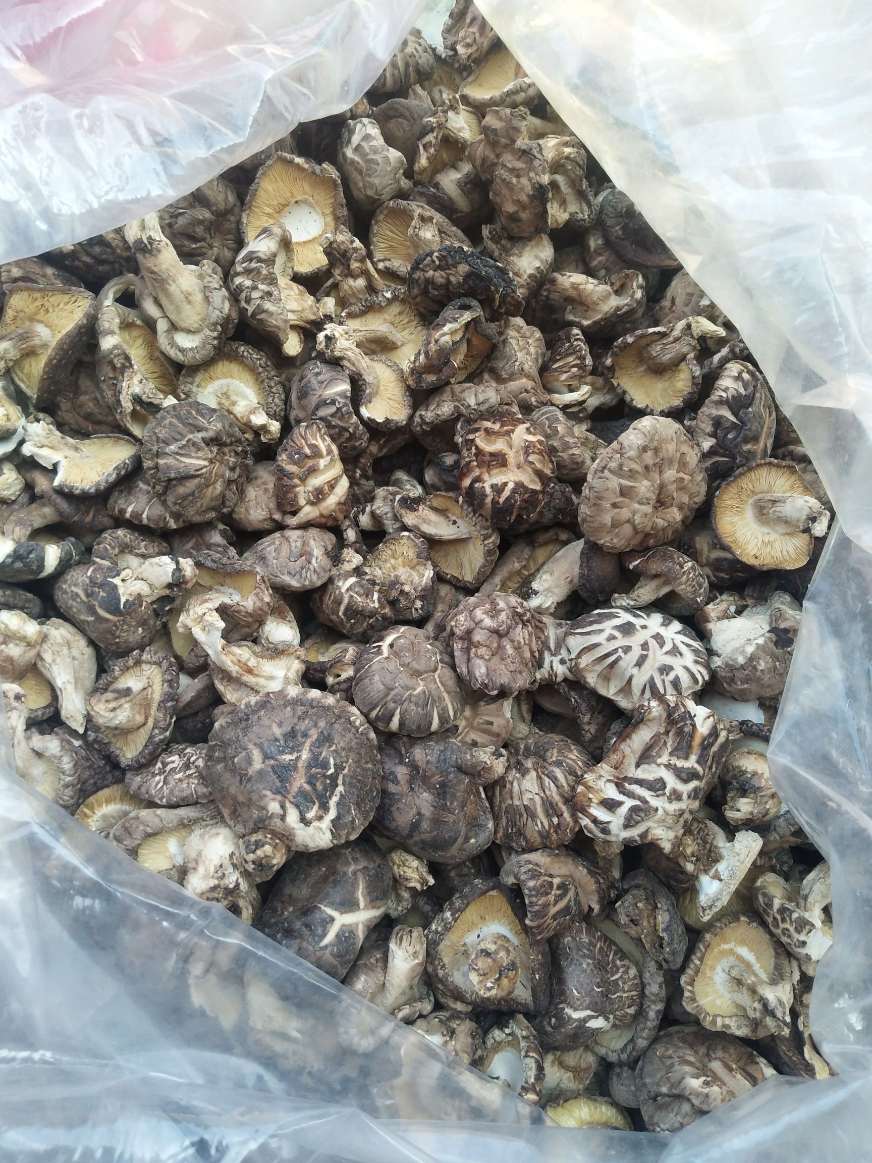 花菇  【连山树头菇】靓货！靓货，（蒸鸡），（煲汤），全屋都