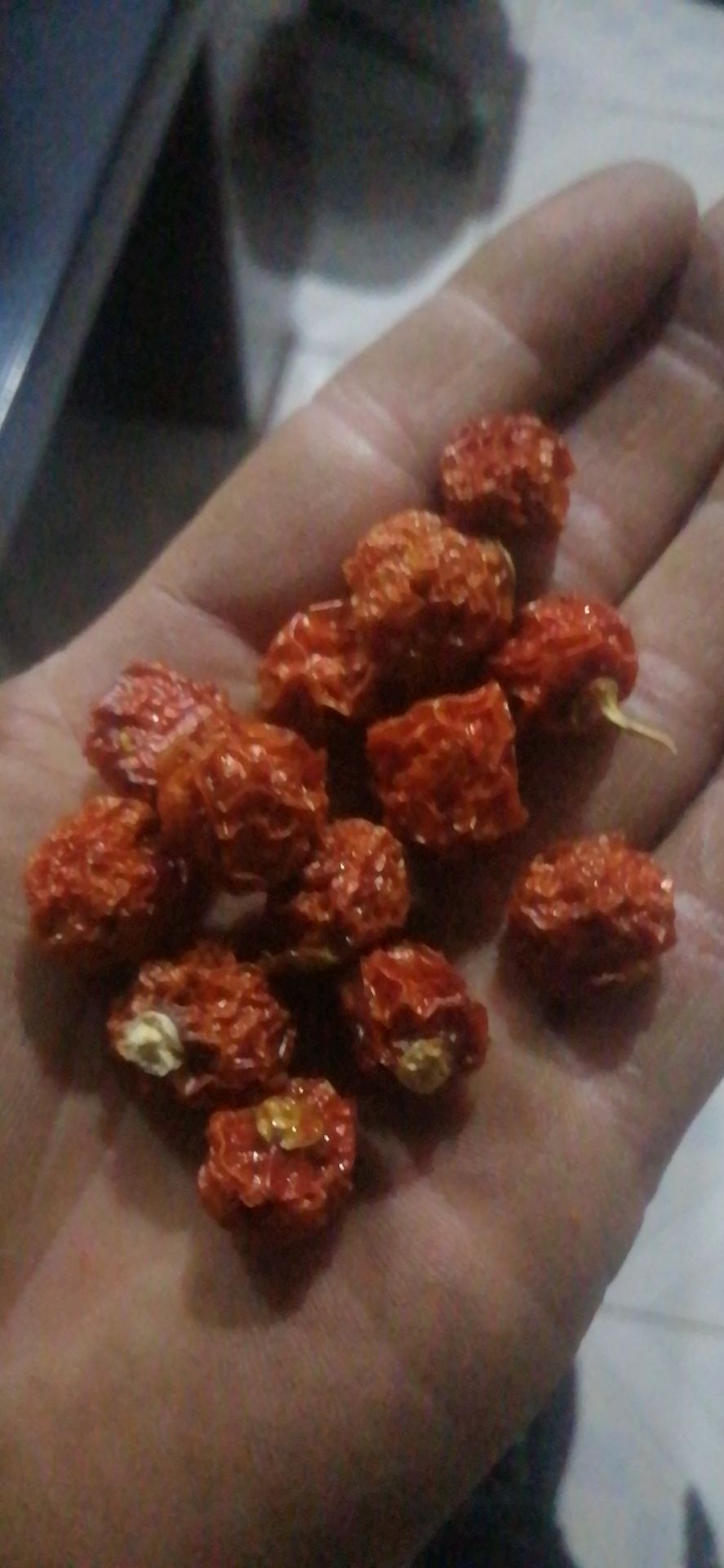 姑娘果干  红姑娘