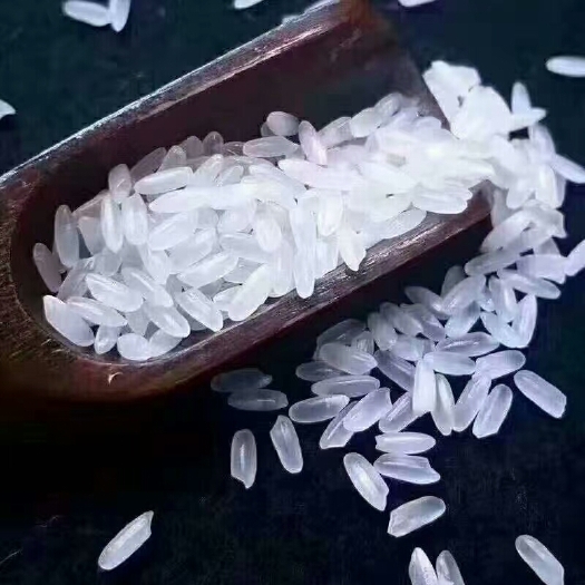 香米 一等品 晚稻 粳米 