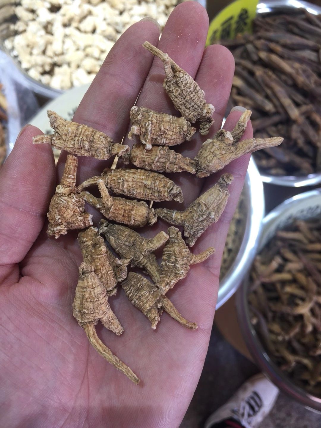 西洋参  美国花旗参  高品质 全国包邮