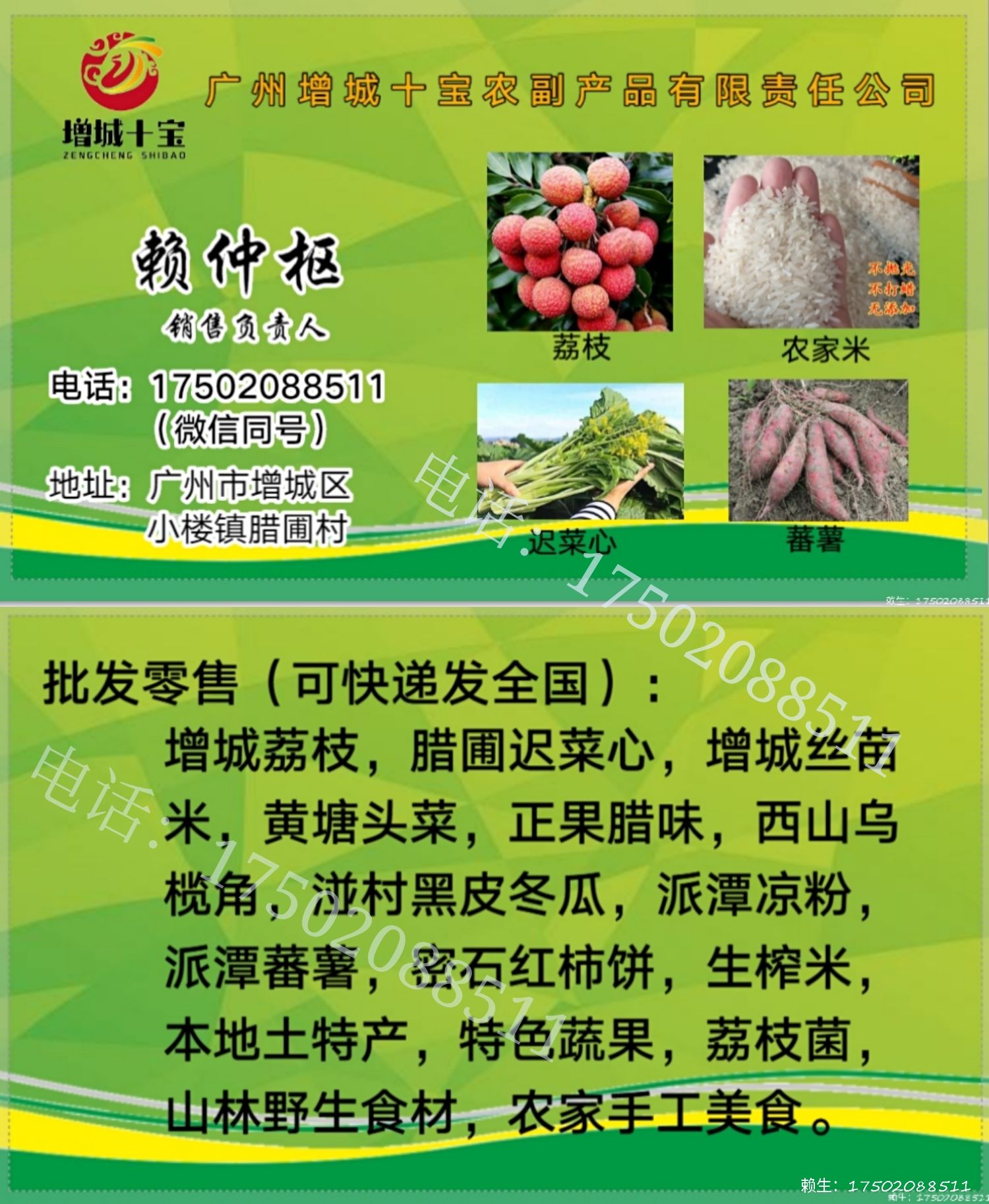 增城迟菜心 正宗原产地小楼镇腊圃村精选装礼盒箱