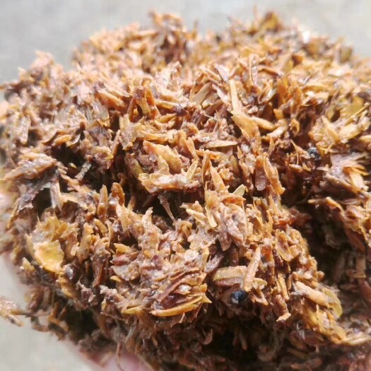宜宾五粮液鲜酒糟11月25更新