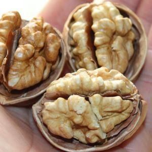 驻马店 新疆阿克苏薄皮核桃皮薄肉厚产地价格一手货源