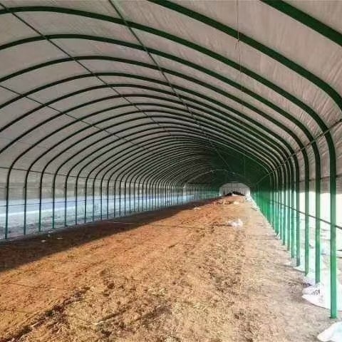 怀远县单体棚 羊棚，便宜好用