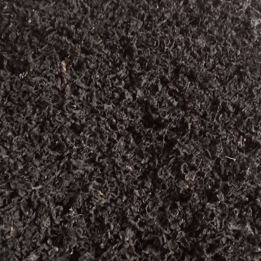 同心县宁夏特产地皮菜