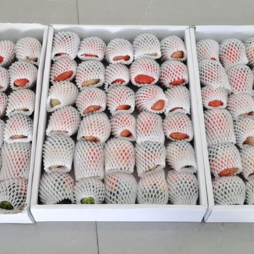 西昌市 德昌草莓