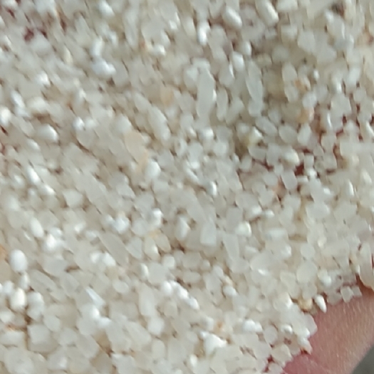 汉川市碎米 常年供应普通毛碎