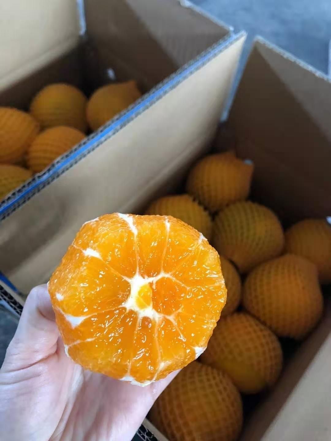 秭归脐橙 水多，甘甜可口，好吃的很