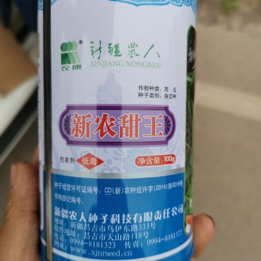 宿州甜王西瓜苗  甜王嫁接西瓜苗