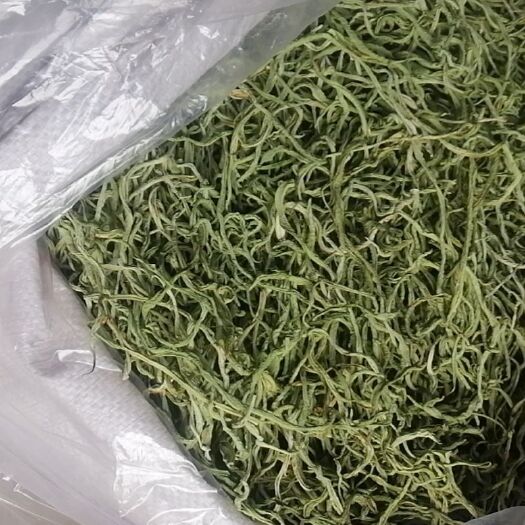 蔚县干豆角 12-18个月 