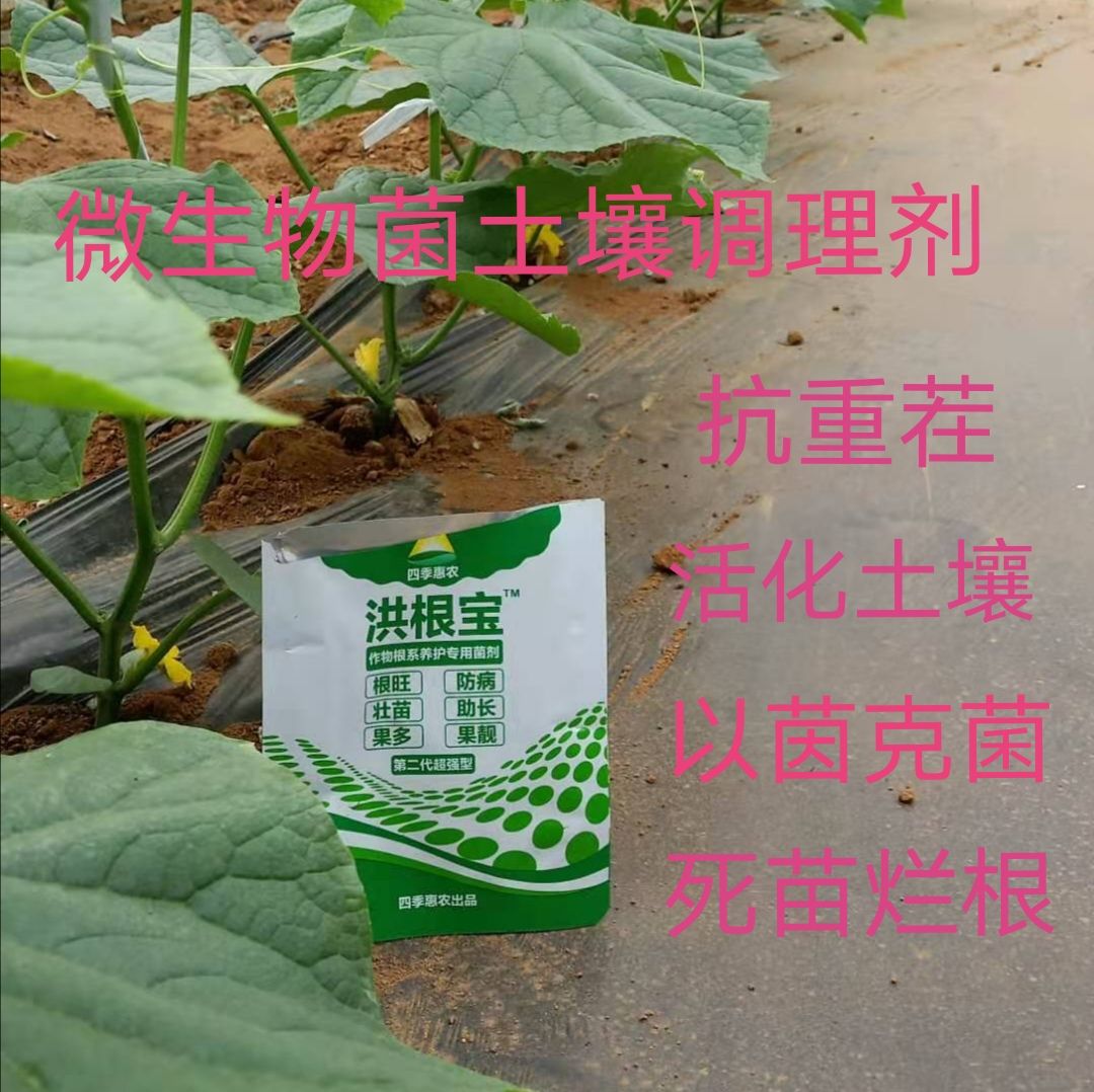 土壤微生物菌剂  农作物根系养护专用微生物菌