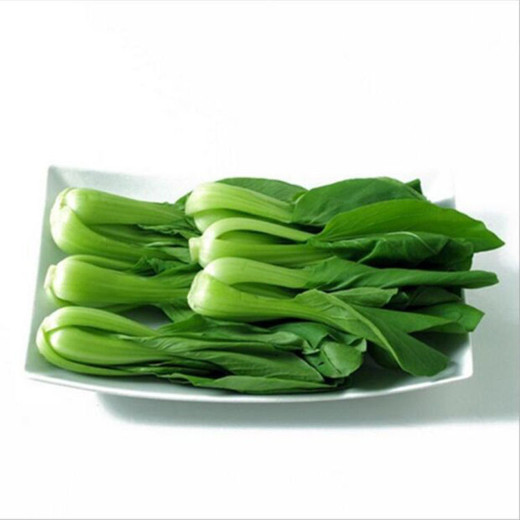 山东省邵庄镇叶菜基地 油菜 上海青 快菜 叶菜产地