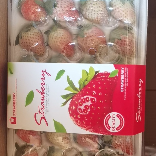 玉溪红颜草莓  冬草莓大量上市