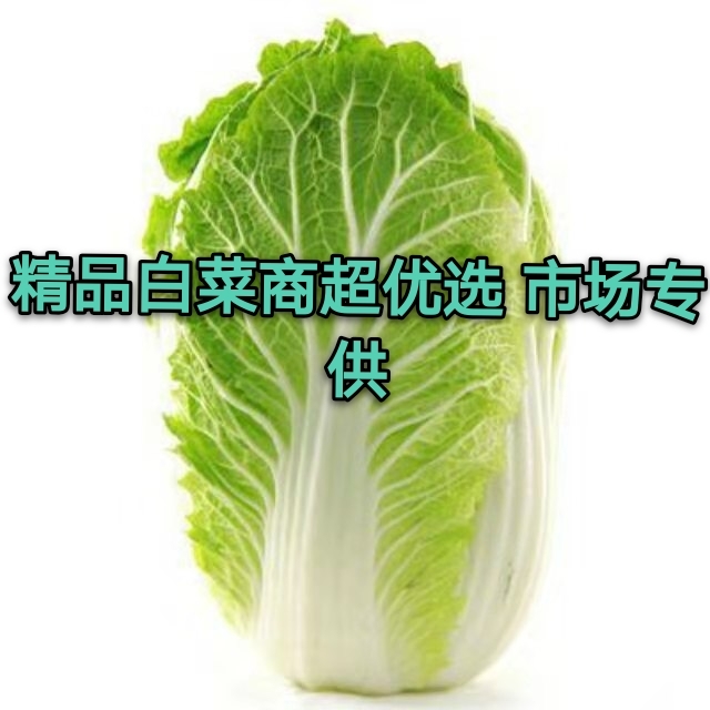 青杂三号白菜  青杂三号大量供应中！产地直销，量大从优！保证