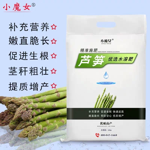 郑州芦笋专用叶面肥  小魔女芦笋优选水溶肥芦笋专用肥芦笋生根芦笋