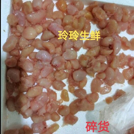 广州新鲜鸡腰子碎货
