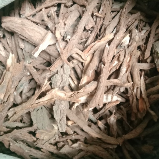 潼关县地骨皮 