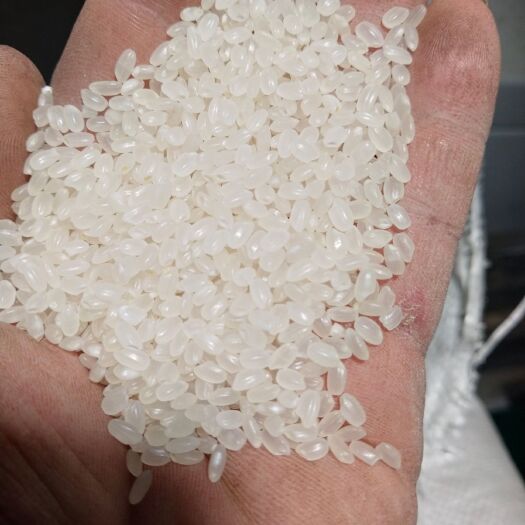 沈阳珍珠米 一等品 一季稻 粳米 