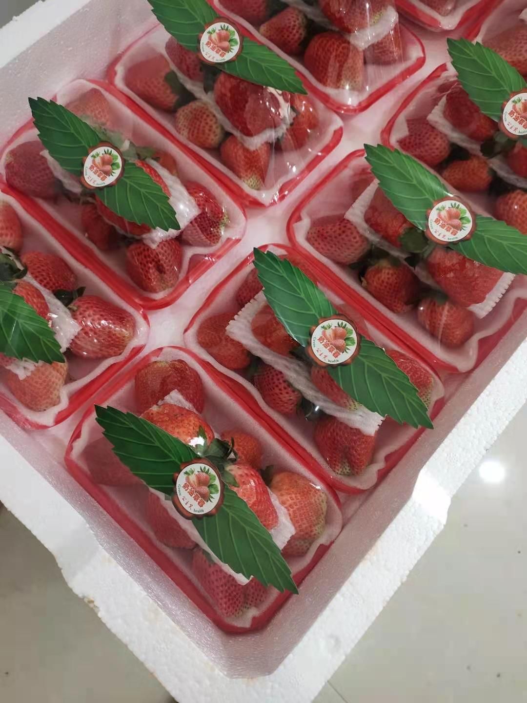 宁玉草莓  奶油草莓，味道香甜