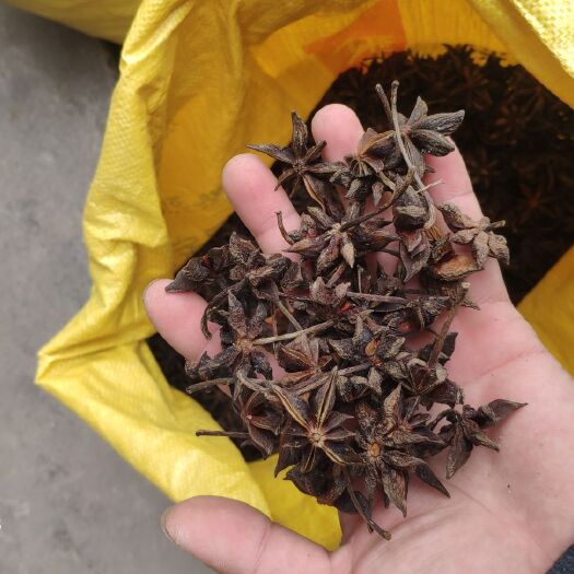 北流市干枝八角  无硫干枝