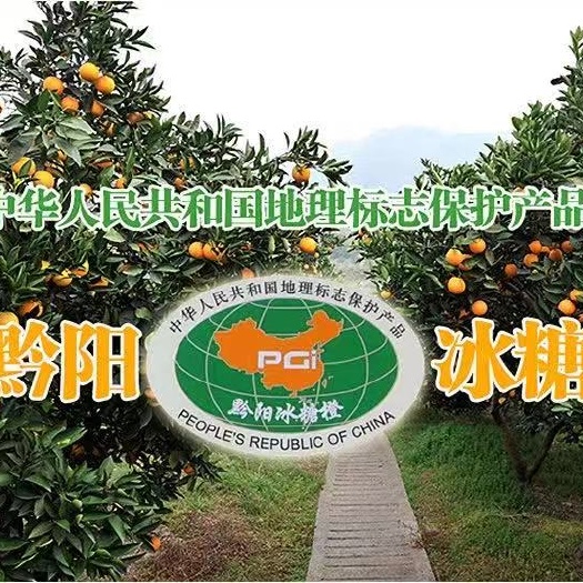 怀化 黔阳冰糖橙，冰糖橙的贵族