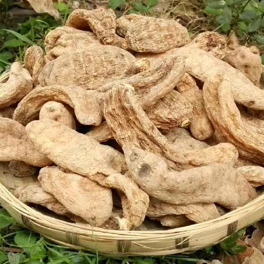 宜昌高山天麻500克装可免费切片，打粉
