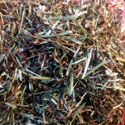 兴城市花生秧  特点是大家都一样
