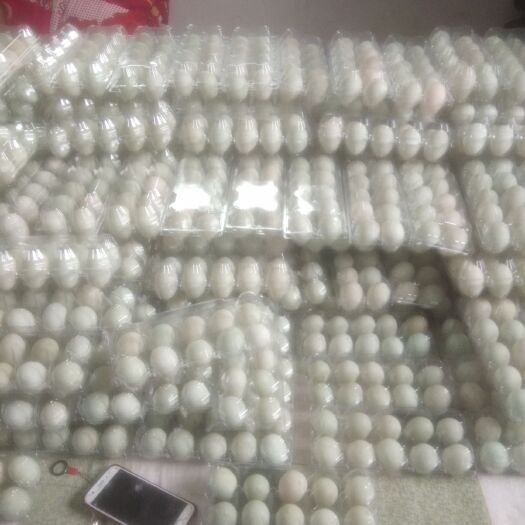 武功县金定鸭蛋批发