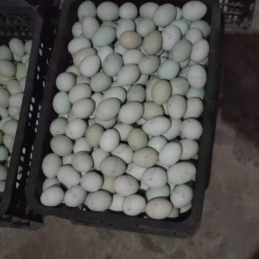 筠连县绿壳壳土鸡蛋