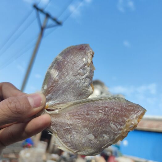 北海北部湾特产腊鱼仔 立仔鱼地摊走量小鱼干低盐淡晒