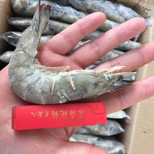 中国对虾  国产冷冻白对虾