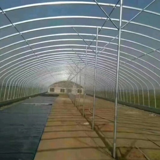 天津大棚 承接各种冷棚，暖棚，联栋，玻璃温室