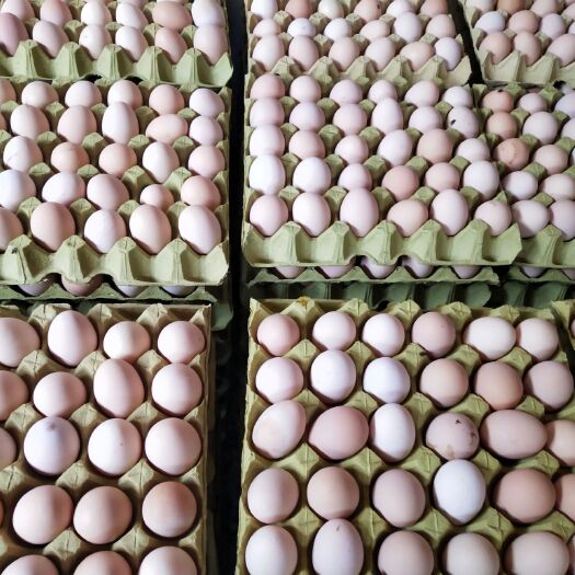 东台市草鸡蛋 食用 箱装 