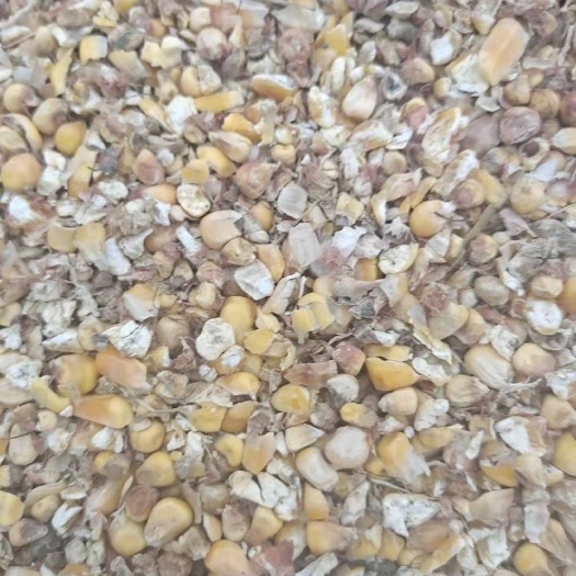 哈尔滨特种养殖饲料