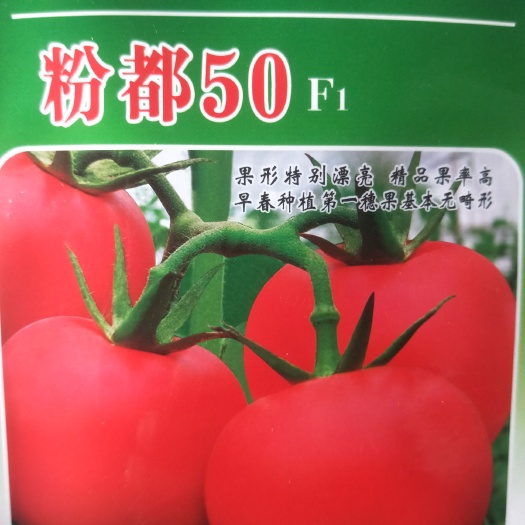 西红柿种子  粉红果型番茄品种，早春种植第一穗果基本无畸形，膨果快，抗病，