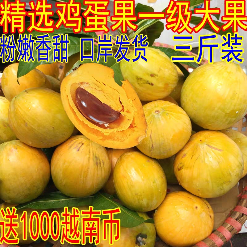 东兴市鸡蛋果新鲜越南蛋黄果5斤广西云南特产热带水果当季现摘现发