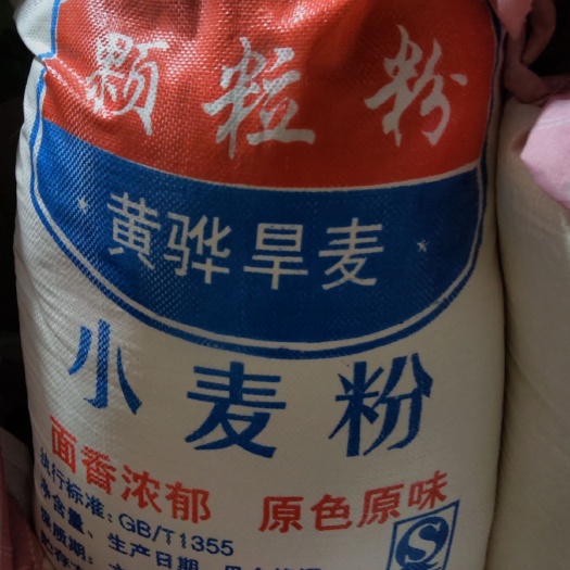 黄骅市雪花粉 黄骅旱碱小麦