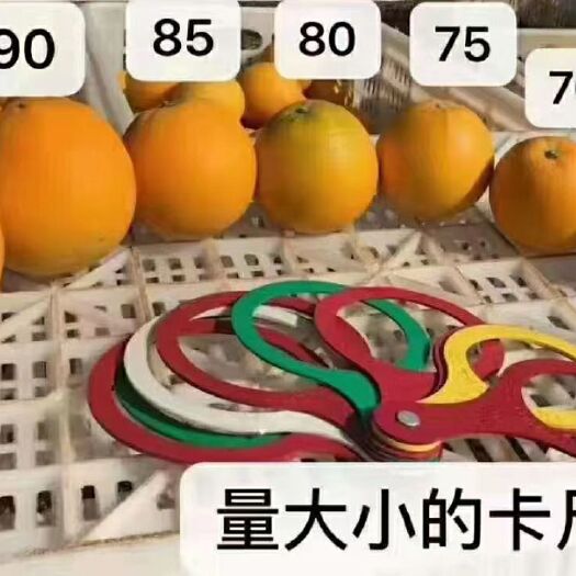信丰县赣南信丰脐橙批发零售不打蜡不催熟
