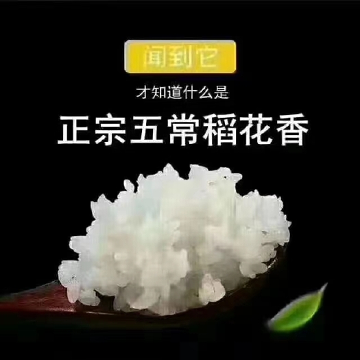 五常市稻花香二号大米  五常稻花香大米，农户种植，自产自销。保纯保真，假一赔十