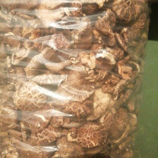 保康县普通香菇 椴木花片。大小5到15厘米