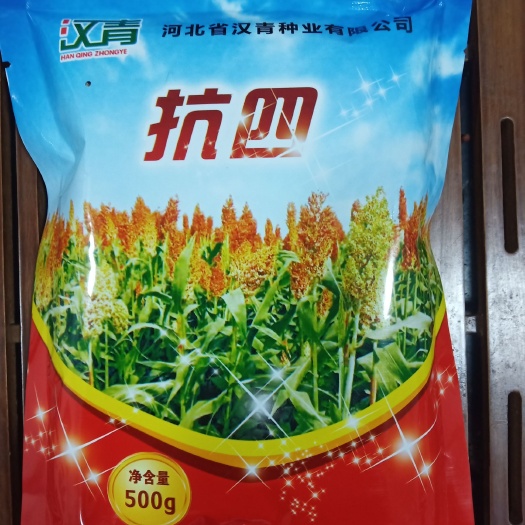 青县抗四高粱种  杂交种抗四