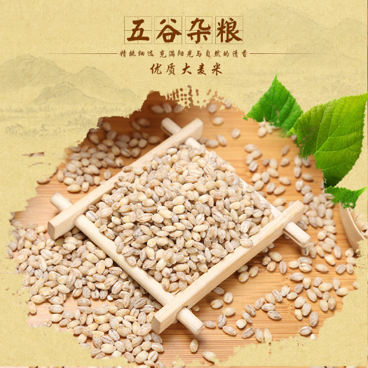 夏邑县农家小麦仁 小麦去皮麦仁放心粮食煮粥即食熬粥用原料五谷杂粮