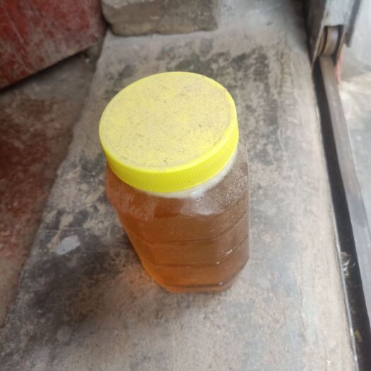 土蜂蜜  剛剛開(kāi)打的冬蜜手快有手慢無(wú)！